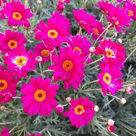 La Casa Al Mare 別荘