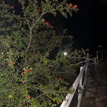 Nyaraló La Casa Al Mare *