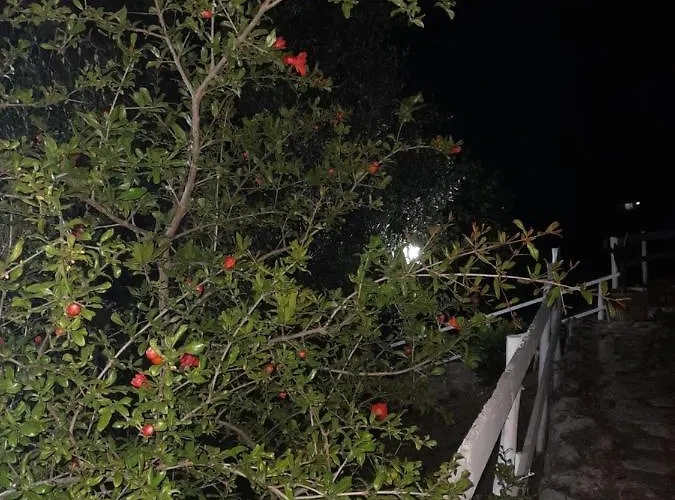 펜션 La Casa Al Mare *